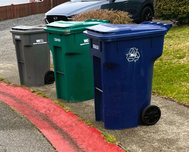 Residential Trash Bin Cleaning Services